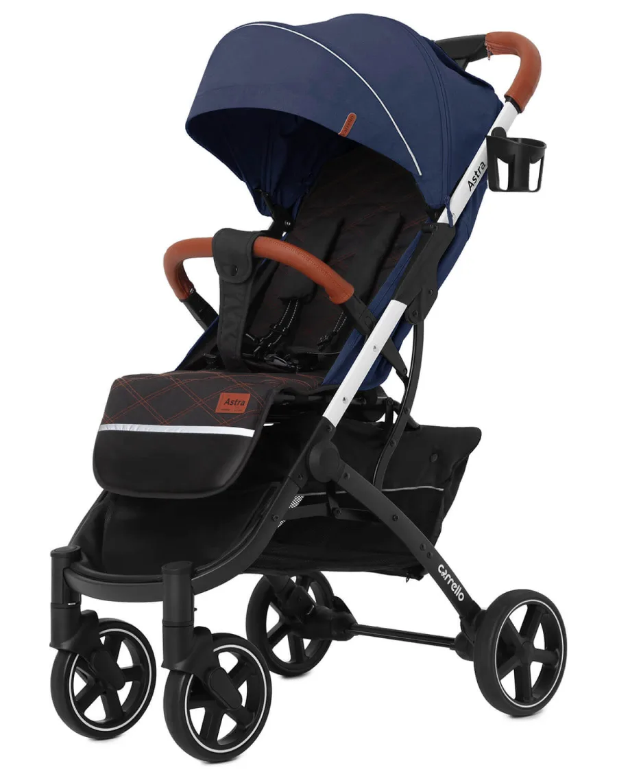 Прогулочная коляска Carrello Astra CRL-5505 2020, Dolphin Grey — главный ракурс