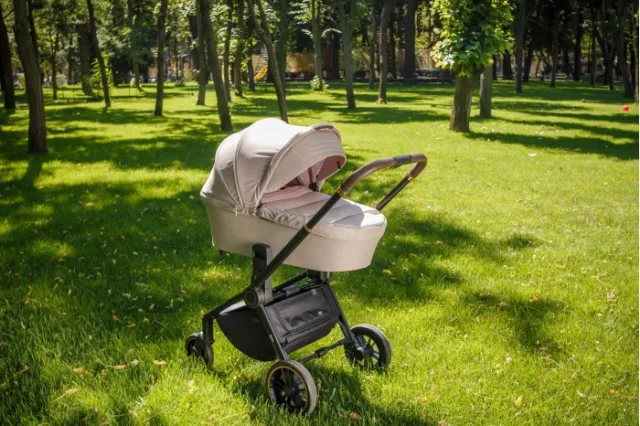 Детская коляска Carrello Epica CRL-8510/1 2 в 1 — фото 2