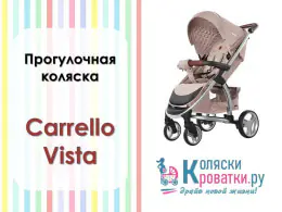 Обзор прогулочной коляски Carrello Vista