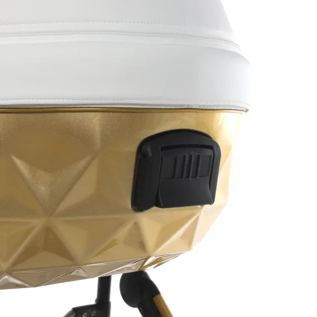 Детская коляска Junama Diamond Mirror Satin V2 3 в 1 на золотой раме — фото 15