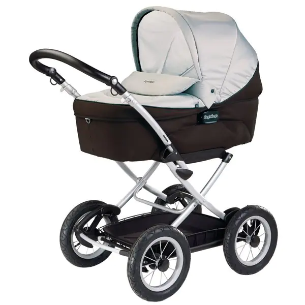 Детская коляска для новорожденного Peg-Perego Young — главный ракурс
