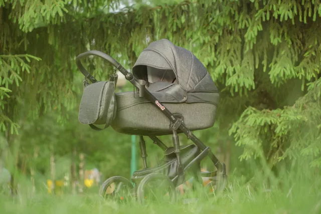 Детская коляска Ray Corsa 3 в 1 — фото 8