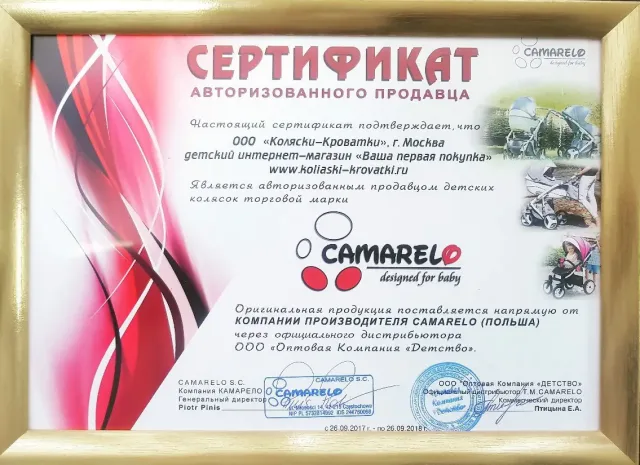 Детская коляска Camarelo Vision 3 в 1 — фото 6