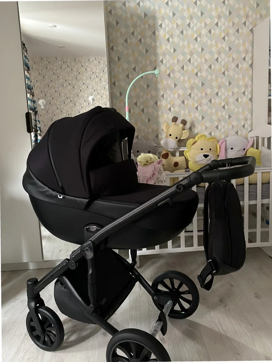 Фото к отзыву — Детская коляска Anex m/type 2 в 1