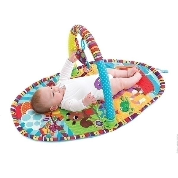 Развивающий коврик Playgro активный центр "Прогулка 0184213 — как выглядит в жизни