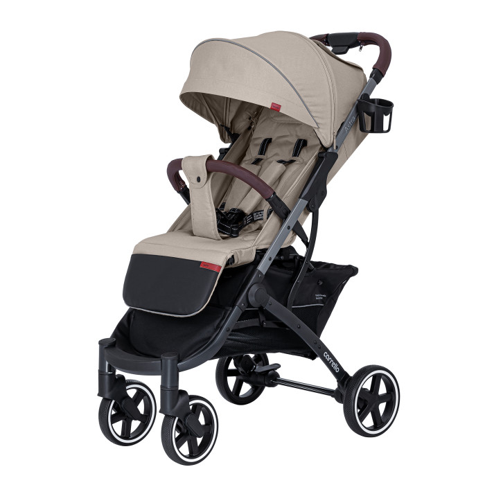 Детская прогулочная коляска Carrello Astra CRL-5505/1 2022 - Фото