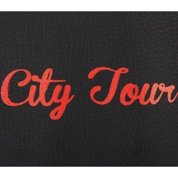 Детская коляска Tako City Tour 2 в 1, эко-кожа фото 1