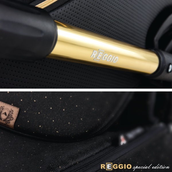 Детская коляска Adamex Reggio Special Edition 3 в 1, ткань+эко-кожа фото 3