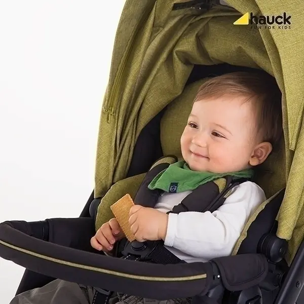 Детская коляска Hauck King Air Plus Trio Set 3 в 1 фото 14