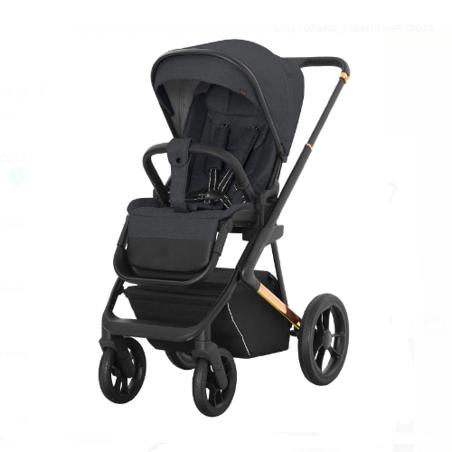 Детская коляска Carrello Sigma 3 в 1 фото 2