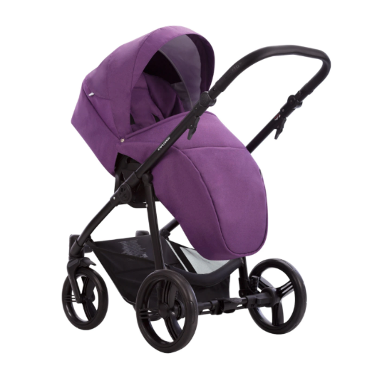 Детская коляска Bebetto Explorer 2 в 1 фото 1
