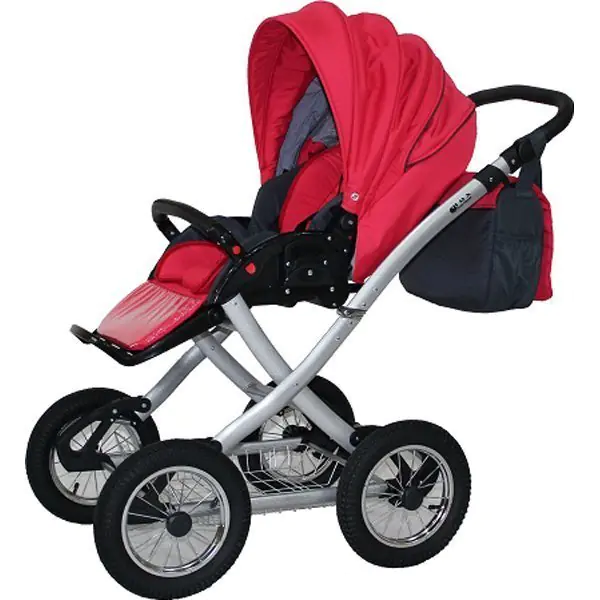 Детская коляска Androx Marita 2 в 1 фото 2