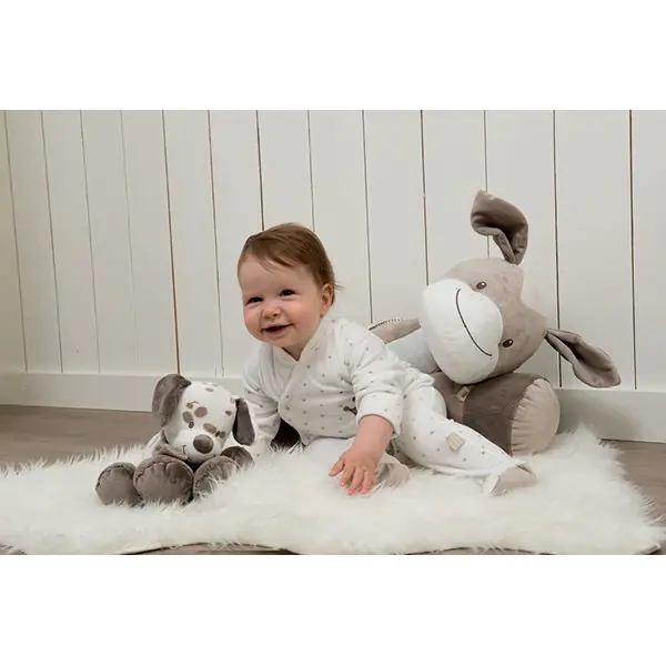 Мягкие игрушки Nattou Doudou Наттоу Дуду Max, Noa & Tom фото 1