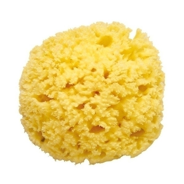Губка для мытья Ok Baby Honeycomb Губка для мытья Ok Baby Honeycomb - Фото