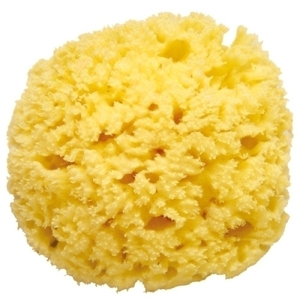 Губка для мытья Ok Baby Honeycomb - Фото