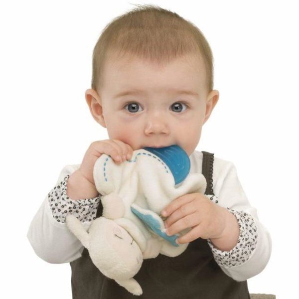 60065 Игрушка развивающая Chicco Овечка "Sweet Love Lаmb" фото 1