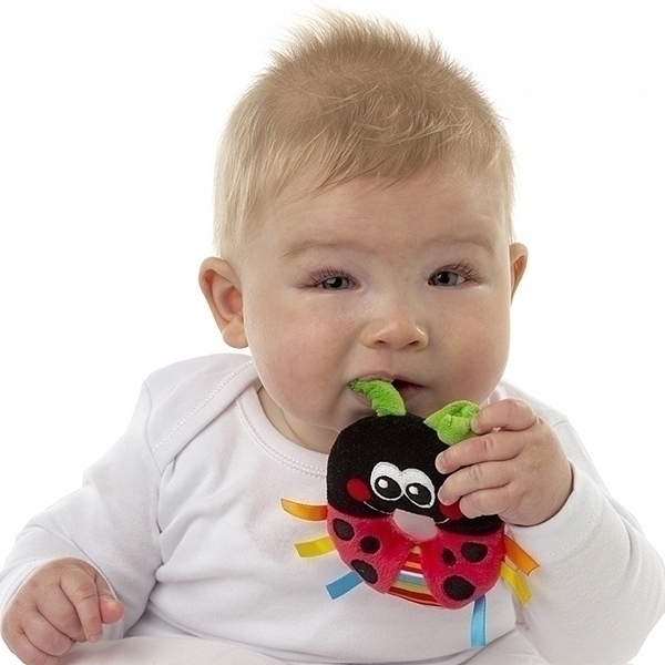 Игрушка-погремушка Playgro Божья Коровка 0182628 фото 5