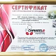 Детская коляска Camarelo Sevilla 3 в 1 фото 4