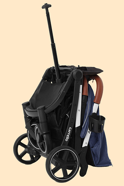 Прогулочная коляска Carrello Astra CRL-5505 2020 фото 1