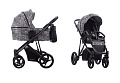 Детская коляска Bebetto Pascal 2 в 1 на черной раме (05_CZM
						
					) — Фото