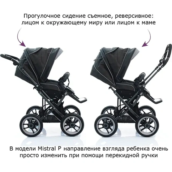 Детская коляска Teutonia Mistral Primus V3 Titanium Теутония Мистраль Примус В3 Титаниум WHL3 HB 2 в 1 с ручным тормозом фото 16