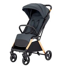 Детская прогулочная коляска Carrello Cross CRL-5523