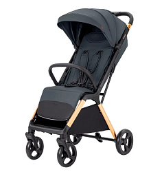 Детская прогулочная коляска Carrello Cross CRL-5523