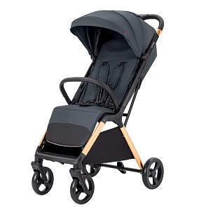 Детская прогулочная коляска Carrello Cross CRL-5523