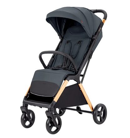 Детская прогулочная коляска Carrello Cross CRL-5523