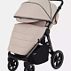 Детская прогулочная коляска Rant Caspia 2.0 фото 2