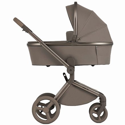 Детская коляска Anex Flo 2 в 1