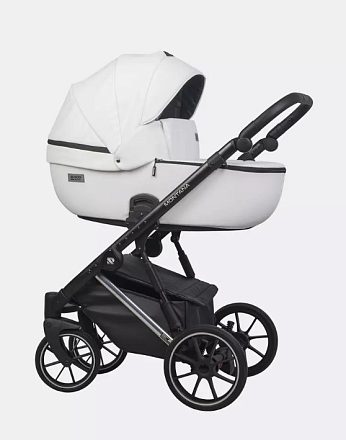 Детская коляска Riko Basic Montana Premium Silver 2 в 1
