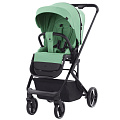 Детская прогулочная коляска Carrello Alfa CRL-5508 (Pear Green
						
					) — Фото
