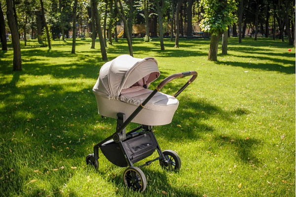 Детская коляска Carrello Epica CRL-8510/1 2 в 1 фото 1