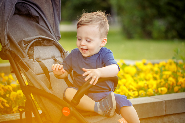 Детская прогулочная коляска XO KID Sitis фото 8