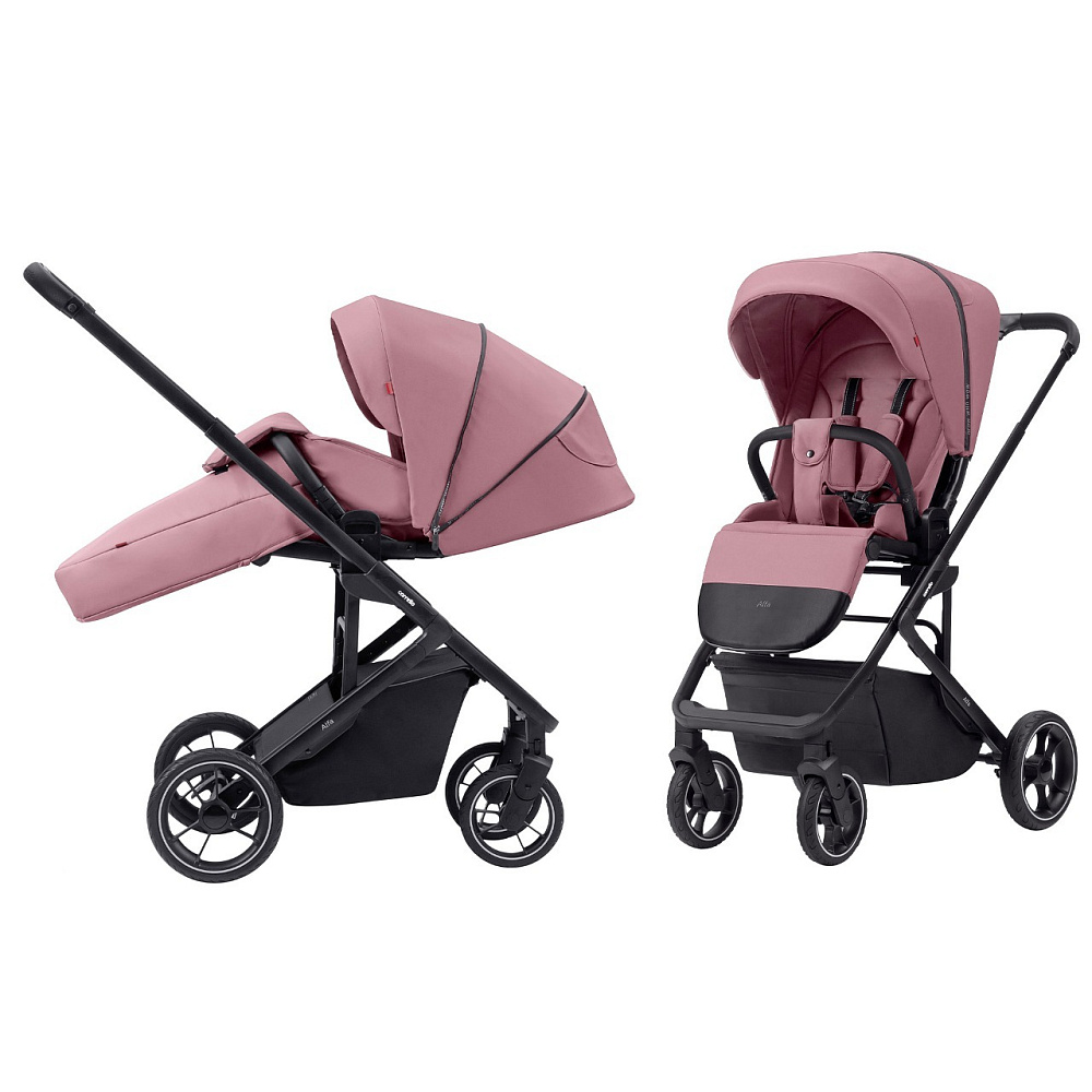 Детская прогулочная коляска Carrello Alfa CRL-5508 2023 - Фото