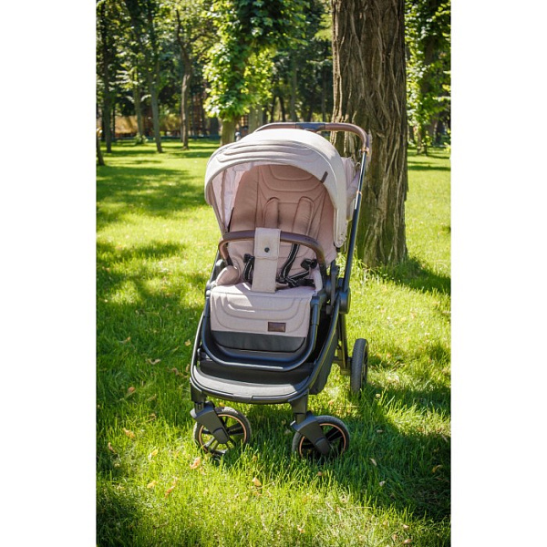 Детская прогулочная коляска Carrello Epica CRL-8509 2022 фото 3
