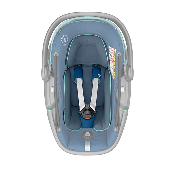 Детское автокресло Maxi-Cosi Coral фото 3