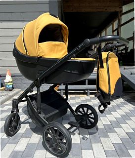 Фото к отзыву о Детская коляска Anex m/type 2 в 1