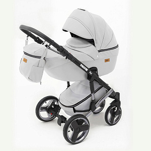 Детская коляска Ray Ultra Silver 2 в 1