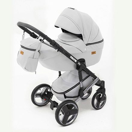Детская коляска Ray Ultra Silver 2 в 1