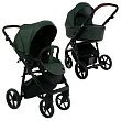 Dark Green/Black