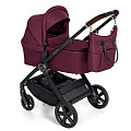 Детская коляска Espiro Only Black&Rose Gold 2 в 1 (102 maroon holiday black
						
					) — Фото