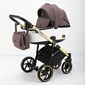 Детская коляска BeBe-Mobile Bolonia Special Edition 3 в 1 (BN-101
						
					) — Фото