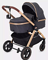 Детская коляска-трансформер Rant Basic Roller Gold 2 в 1 (Grey
						
					) — Фото