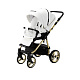 Детская коляска Adamex Verona Pro Poler 2 в 1, 100% экокожа фото 3
