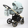Детская коляска BeBe-Mobile Bolonia Special Edition 2 в 1 (BN-108
						
					) — Фото