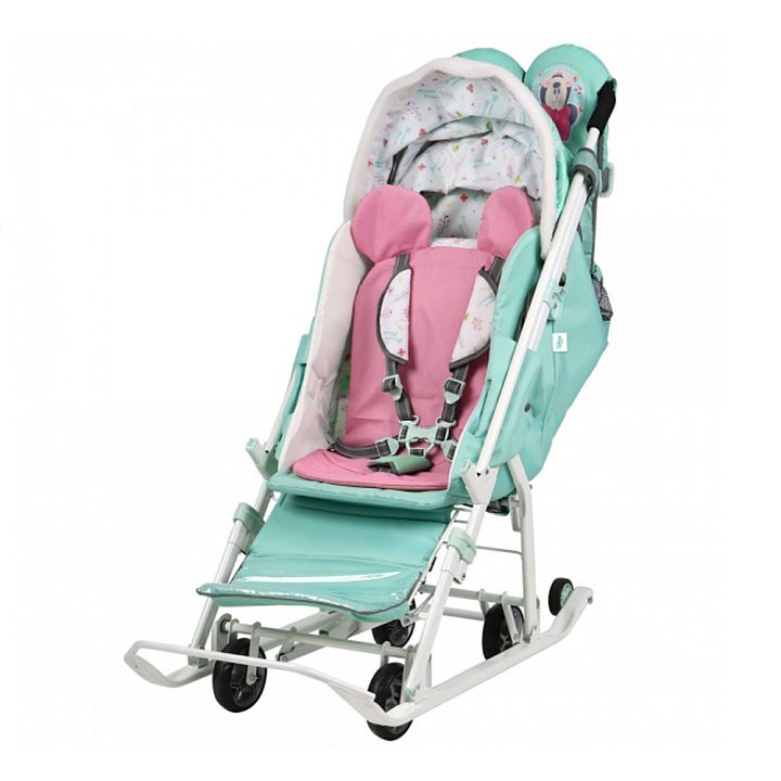 Санки-коляска Nika Disney Baby 2 — как выглядит в жизни