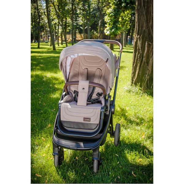 Детская прогулочная коляска Carrello Epica CRL-8509 2022 фото 1