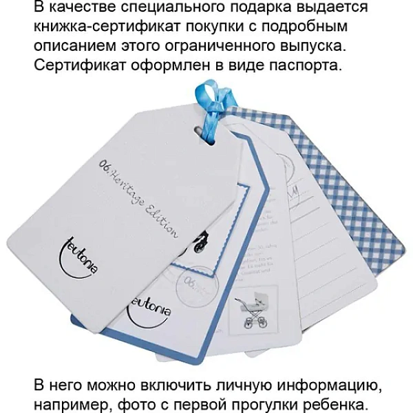 Детская коляска Teutonia BeYou V3 Heritage Edition 2 в 1 фото 3